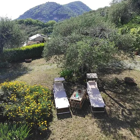 Casa Del Bontempo - Relaxing, Scenic And Cozy דירה *
